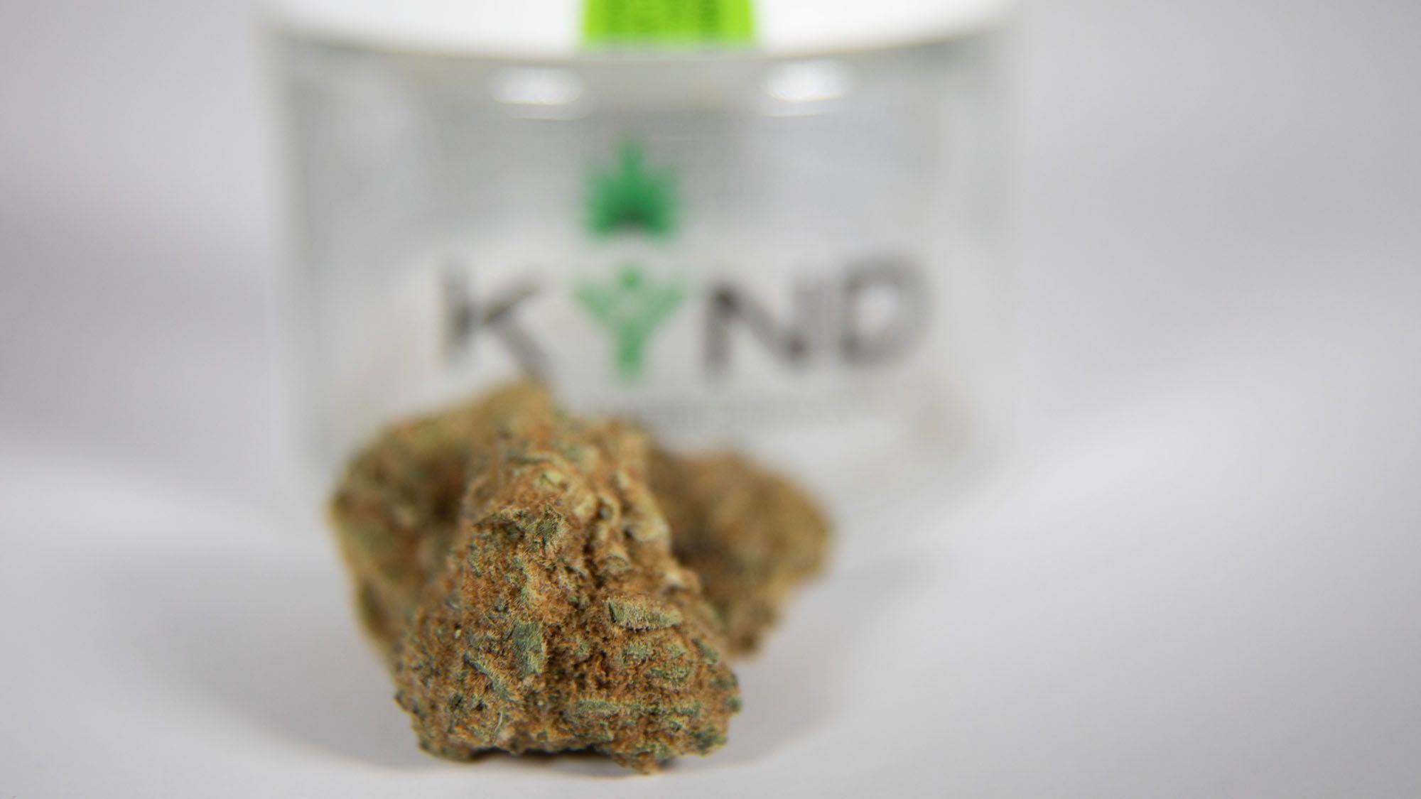 Understanding the Endocannabinoid System and Its Interaction with Cannabis